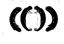 GTS300099945884/GS8546/4241H5 Szczęki hamulcowe 254x57 Fiat Ducato 1994-2001 modele 18Q